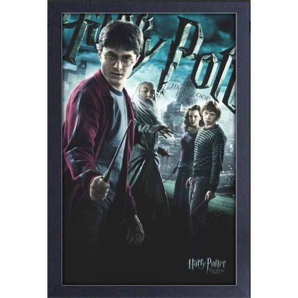 Harry Potter - Half Blood Prince 13" x 19" Framed Wall Art