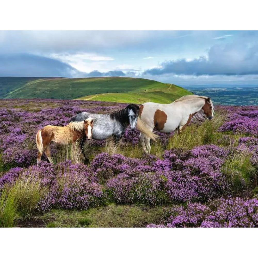 Ravensburger Wild Horses in the Heather Jigsaw Puzzle 2000 Pieces