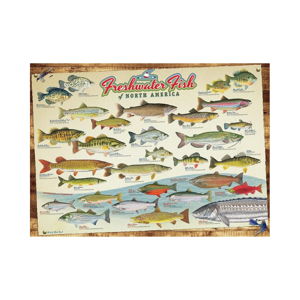 Cobble Hill Freshwater Fish of North America - 1000 Piece Puzzle