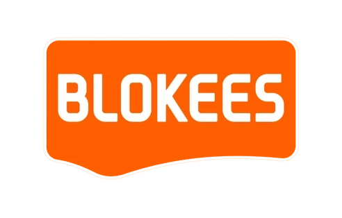Blokees Model Kits