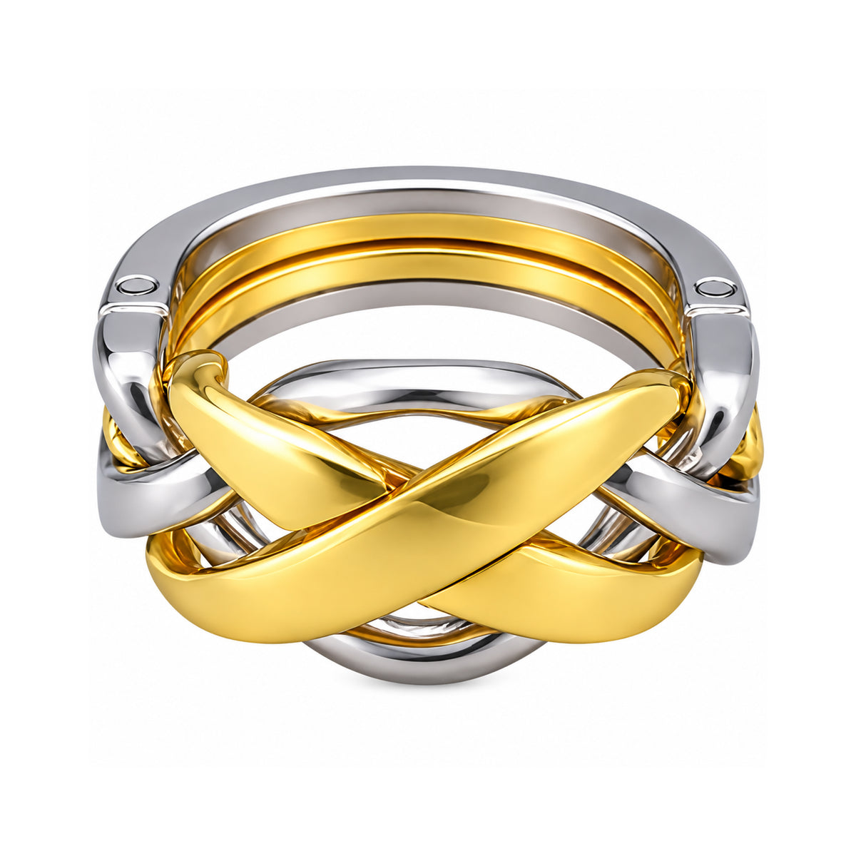 Hanayama Ring Puzzle - Level 8