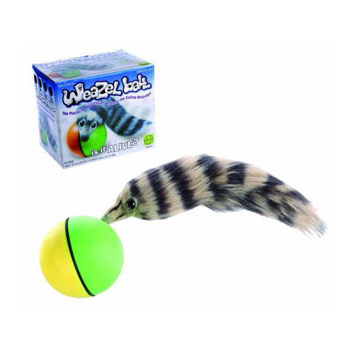 Weazel Ball with weasel popping out on a white background