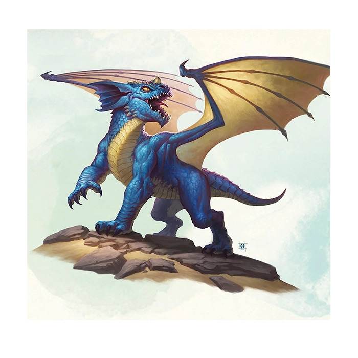 D&amp;D Starter Set