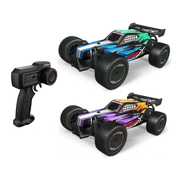 Remote Control - Off-Road Racing Car Type E 2.4G Asst
