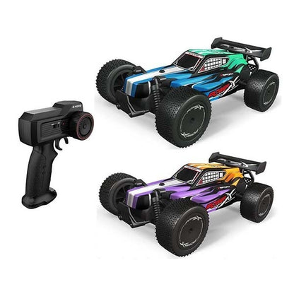 Remote Control - Off-Road Racing Car Type E 2.4G Asst