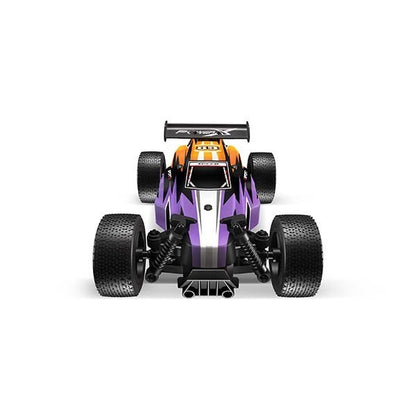 Remote Control - Off-Road Racing Car Type E 2.4G Asst