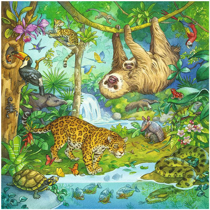 Ravensburger Jungle Fun, 3 x 49 PC Puzzle