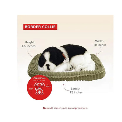 Perfect Petzzz Border Collie