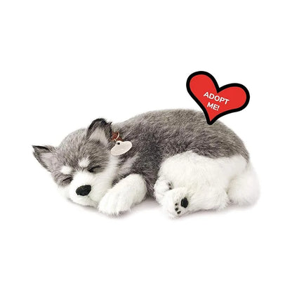 Perfect Petzzz - Original Petzzz Alaskan Husky