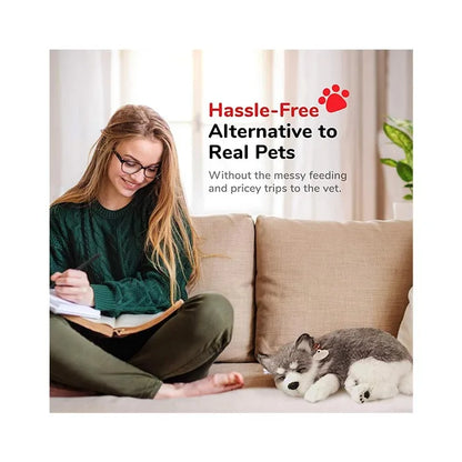 Perfect Petzzz - Original Petzzz Alaskan Husky