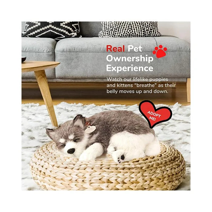 Perfect Petzzz - Original Petzzz Alaskan Husky
