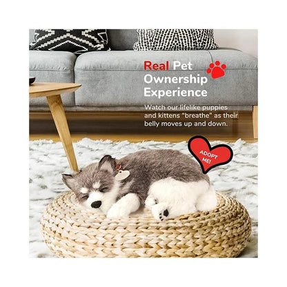 Perfect Petzzz - Original Petzzz Alaskan Husky