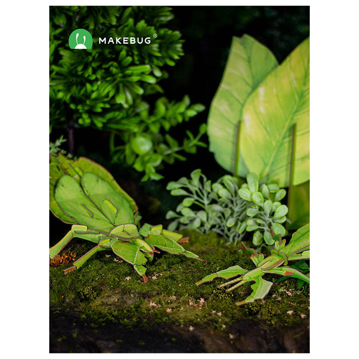 3D Puzzle Leaf Insect - 35 Pieces