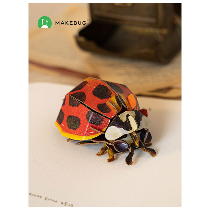 3D Puzzle Asian Ladybug - 31 Pieces