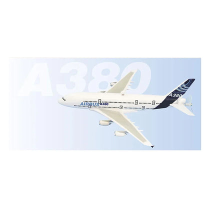 Tradeopia Sky's The Limit Airliner Scale Model That Really Flies