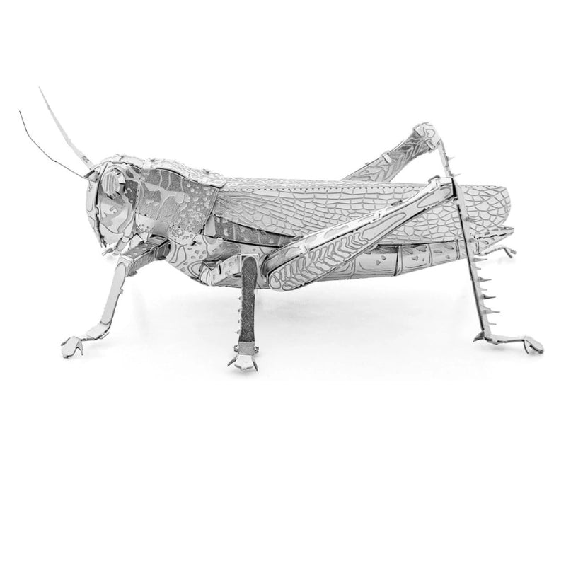 Metal Earth Grasshopper 3D Metal Model Kit Fascinations