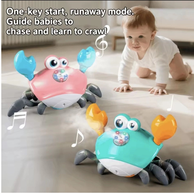 SPRAY CRAB W/LIGHT &amp; MIST