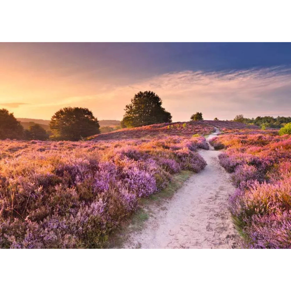 Ravensburger Pink Pathway Jigsaw Puzzle 1000 Pieces