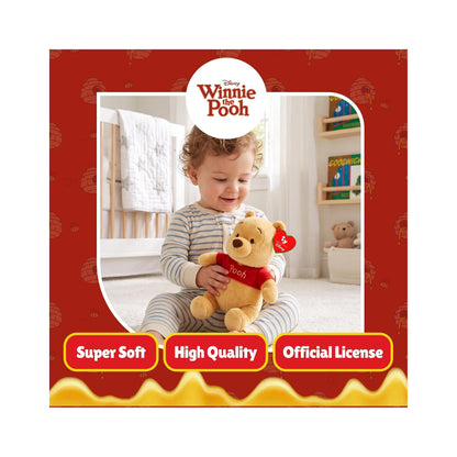 TY Winnie The Pooh Floppy
