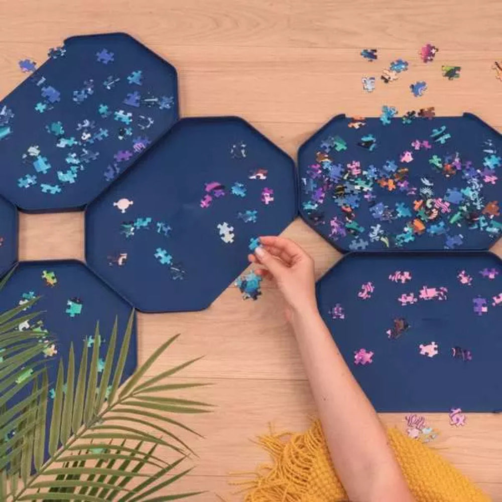 Ravensburger: Sort & Go Ultimate