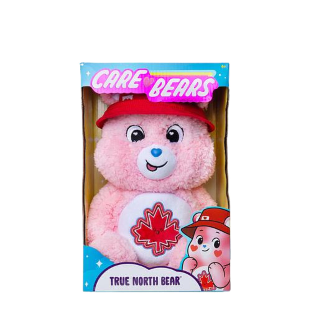 Care Bears True North Bear 14 Inch