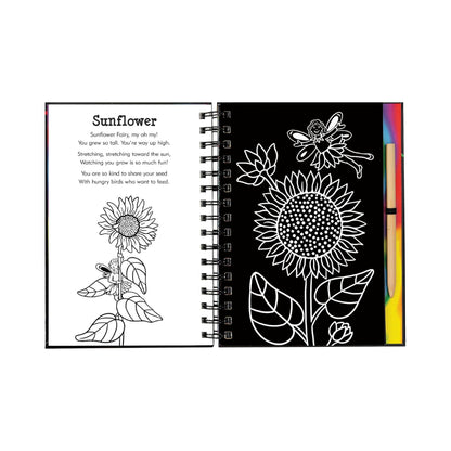 Scratch &amp; Sketch Garden Fairies