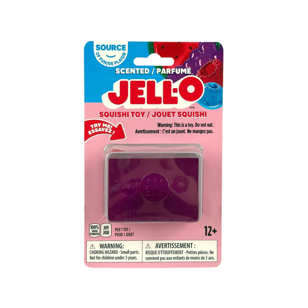 Jell-O Style Squishy Toy