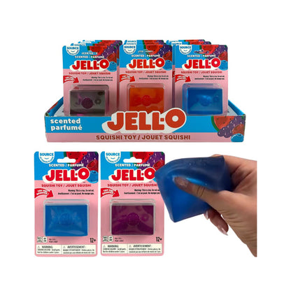 Jell-O Style Squishy Toy